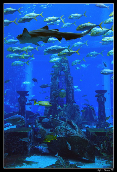 2012 - 06 - Dubai - 044